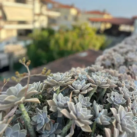 Private With Spacious Garden & Veranda - *