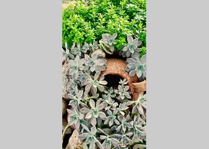 Appartement Private With Spacious Garden & Veranda -